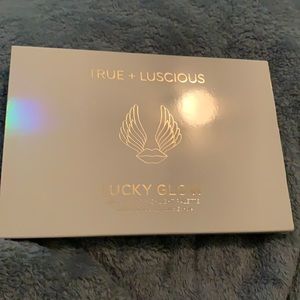 Bronze and highlight palette . Never used before .